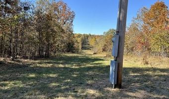 County Road P-309, Alton, MO 65606
