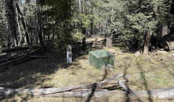 1451 El Camino Real, Angel Fire, NM 87710