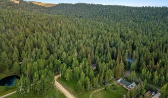 21 County Road 2043, Alpine, AZ 85920