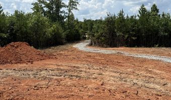 Lot 2 Silver Dollar, Barnesville, GA 30204