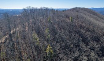 Stoots Mountain Rd. lot 31-A-109, Austinville, VA 24312