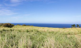 Lot # 9 Lahuiki Place, Hawi, HI 96719