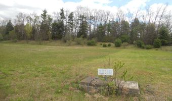 Peperes Road lot 20, Charlestown, NH 03603