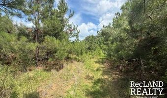 Cooper Lake Road, Bastrop, LA 71220