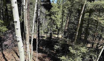 Santo Domingo Trl lot 716, Angel Fire, NM 87710