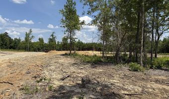 Lot 1 Silver Dollar, Barnesville, GA 30204
