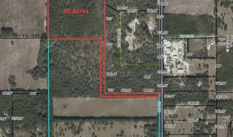 US Hwy 129, Bell, FL 32619