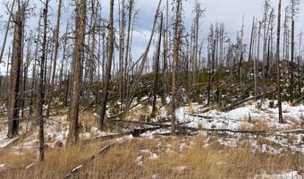2025 Granite Rd, Bellvue, CO 80512