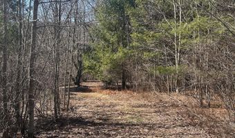 L21.1 Alder Pond Road, Andes, NY 13740