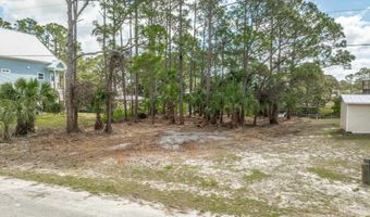 15 Carousel Ter, Alligator Point, FL 32346