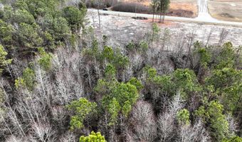 Lot 1 N UNION CHURCH RD, Ellendale, DE 19941