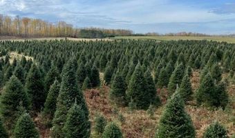 N680 HWY 45, Antigo, WI 54409