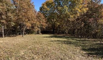 County Road P-309, Alton, MO 65606