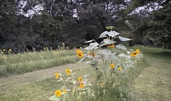 1421 Oak Level Rd, Bassett, VA 24055