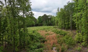 6020 Eaglewood Ln, Birchwood, TN 37308