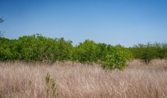 FM 735, Alice, TX 78332