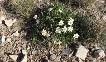 572 Windmill Rd, Carrizozo, NM 88301