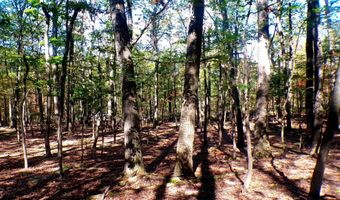 BIG HORN TRAIL E-15, Augusta, WV 26704