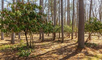 forest Road, Alstead, NH 03602