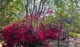 8530 Rockledge Rd, La Mesa, CA 91941