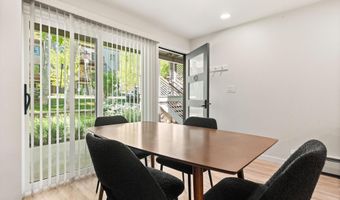 100 E Dean St 1D, Aspen, CO 81611