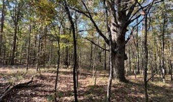 Perry Chapel Road, Ashland, MS 38603