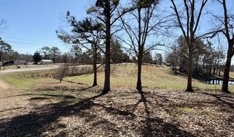 9554 Brooksie Thompson Rd, Bath Springs, TN 38311