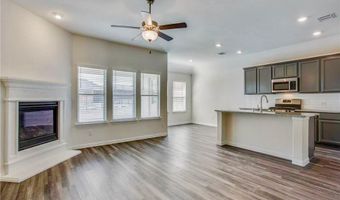 1227 Timberfalls, Anna, TX 75409