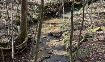 523 Honey Creek Loop Rd, Allardt, TN 38504