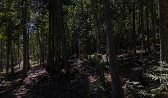 Swan Shores Lane, Bigfork, MT 59911