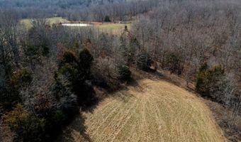 County Road 529, Ava, MO 65608