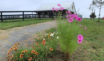 23 WHITE HORSE HILL Ln, Amissville, VA 20106
