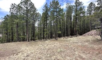 29 27 N 2058, Alpine, AZ 85920