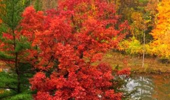 2100 Timber Point Dr SE, Ada, MI 49301