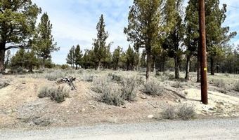 Mt Quail & Grizzley, Alturas, CA 96101