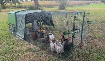 3280 Old Jackson Rd, Bells, TN 38006
