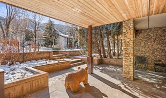 990 E Hopkins Ave, Aspen, CO 81611
