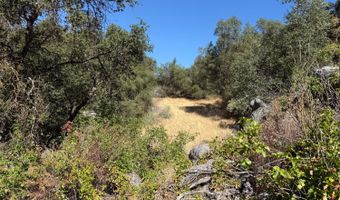 41902 Woodward Way, Ahwahnee, CA 93601