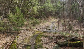 0 Clarks/Woodland Trl 409-4, Alexandria, NH 03220