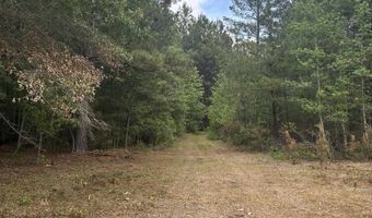 452 Tram Rd, Cades, SC 29518