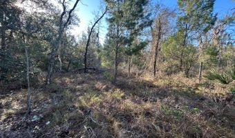 NW Lake McKenzie Rd, Altha, FL 32421