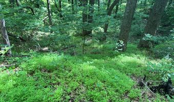 281 Scotts Branch Rd, Amherst, VA 24521