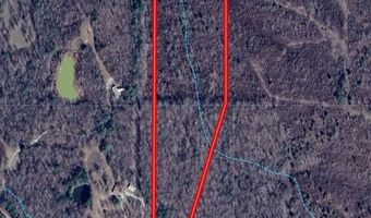 Cr 244, Abbeville, MS 38601