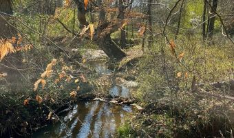 Julius Bridge Road, Ball Ground, GA 30107