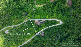 1009 Larkspur Trl, Banner Elk, NC 28604