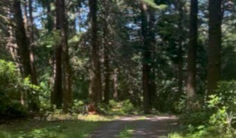 88677 WHITING Ln, Bandon, OR 97411
