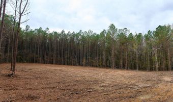 00002 Trickhambridge Rd, Brandon, MS 39042