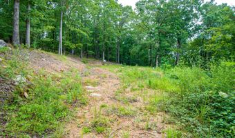 100 Block SPANISH MINE, Jessieville, AR 71909