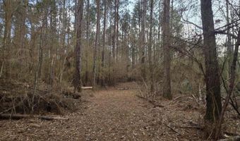 U.S. Highway 51, Bogue Chitto, MS 39629