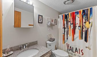 3 Mountainview Rd 6, Bartlett, NH 03812